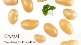  Presentation with ripe golden potato on white - Cool new presentation design with white background with copy space backdrop and a lemonade colored foreground