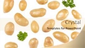  Presentation with ripe golden potato on white - Beautiful presentation theme featuring potatoes and parsley isolated backdrop and a lemonade colored foreground
