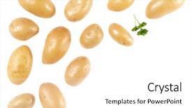  Presentation with ripe golden potato on white - Beautiful presentation theme featuring white background with copy space backdrop and a white colored foreground