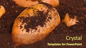  Presentation with soil - 