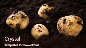  Presentation with ground subsidence - PPT layouts enhanced with potatoes in ground autumn theme background and a  colored foreground