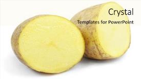  Presentation with ripe golden potato on white - Slide deck featuring potatoes isolated on a white background background and a blonde colored foreground