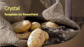  Presentation with spilling - Amazing slide deck having potatoes spilling from a sack backdrop and a  colored foreground