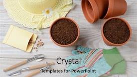  Presentation with flower pots - Audience pleasing presentation theme consisting of pots soil gloves seed packet backdrop and a mint green colored foreground