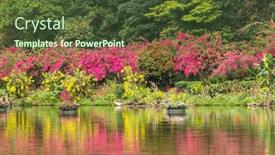  Presentation with floating - Presentation theme enhanced with pots-with-plants-and-flowers and a tawny brown colored foreground