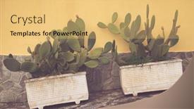  Presentation with pastel - Presentation theme featuring potted-cactus-house-plants background and a yellow colored foreground