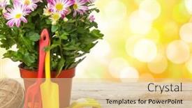  Presentation with garden tools - Amazing presentation having potted-flower-and-garden-tools backdrop and a lemonade colored foreground