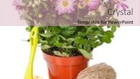  Presentation with utensils - Slide set with potted flower and garden utensils isolated on white background background and a coral colored foreground