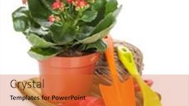  Presentation with utensils - Amazing PPT theme having potted flower and garden utensils isolated on white background backdrop and a red colored foreground