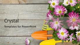  Presentation with flower pots - Beautiful slide set featuring potted flower and garden utensils backdrop and a light gray colored foreground