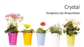  Presentation with heart of flowers - Amazing slide set having potted flowers backdrop and a white colored foreground