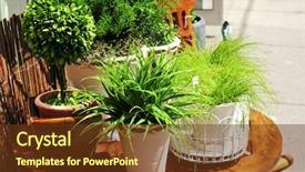  Presentation with plants - Slide deck featuring potted green plants on wooden background and a tawny brown colored foreground