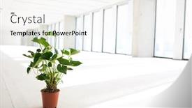  Presentation with plant - Amazing presentation design having potted-plant-in-empty-office backdrop and a white colored foreground