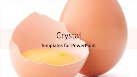  Presentation with egg - Beautiful PPT theme featuring poultry farms - breaking egg isolated on white backdrop and a coral colored foreground