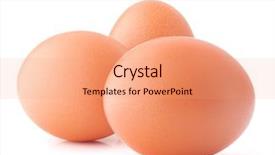  Presentation with poultry egg - Colorful presentation theme enhanced with poultry farms - egg isolated on white background backdrop and a coral colored foreground