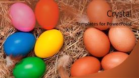  Presentation with fresh toast sandwiches egg - Slide deck featuring poultry farms - fresh chicken eggs and easter background and a red colored foreground