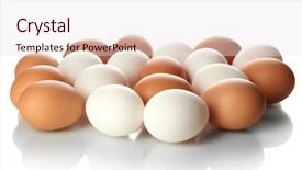  Presentation with hawker food many kind - Audience pleasing slides consisting of poultry farms - many eggs isolated on white backdrop and a lemonade colored foreground