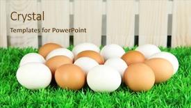  Presentation with bright - Cool new slide deck with poultry farms - many eggs on grass backdrop and a lemonade colored foreground