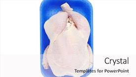  Presentation with chicken - Amazing presentation having poultry farms - whole raw chicken on blue backdrop and a white colored foreground