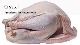  Presentation with turkey - Beautiful presentation theme featuring poultry frozen foods - raw uncooked turkey on white backdrop and a white colored foreground