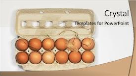 Presentation with feather - PPT layouts consisting of poultry nutrition free - farm fresh brown eggs background and a lemonade colored foreground