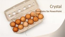  Presentation with eggs egg carton egg box - Beautiful slides featuring poultry nutrition free - wholesome farm fresh eggs backdrop and a lemonade colored foreground