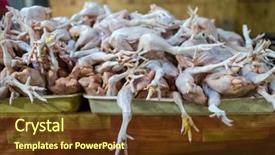  Presentation with chicken little chicks - Beautiful presentation theme featuring poultry processing - raw chicken sold on jimbaran backdrop and a tawny brown colored foreground