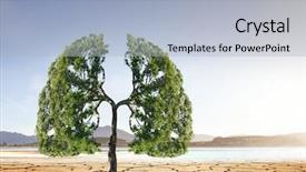  Presentation with green tree - Audience pleasing PPT theme consisting of waterloss - lonely green tree backdrop and a light blue colored foreground