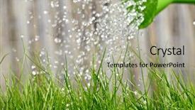  Presentation with drought - Theme featuring drought plant - pouring from watering can background and a light gray colored foreground