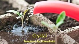  Presentation with seedling - Colorful slide deck enhanced with pouring water to small seedling backdrop and a tawny brown colored foreground