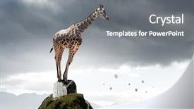  Presentation with power media - Amazing slides having power and leadership concept mixed backdrop and a  colored foreground