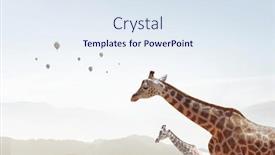  Presentation with power - 