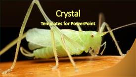  Presentation with airport boarding board - Beautiful slides featuring power cricket - grasshopper on board backdrop and a wine colored foreground