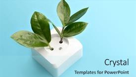  Presentation with blue green - PPT theme enhanced with power outlet - image of two green sprouts background and a arctic colored foreground
