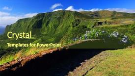  Presentation with keel billed toucan also known - Audience pleasing PPT theme consisting of pozo ribeira do ferreiro flores backdrop and a tawny brown colored foreground