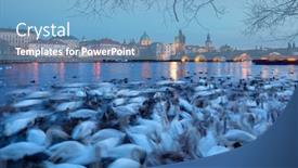  Presentation with prague - Slide deck with prague beautiful white swans on the vltava river near charles bridge amazing evening view czech republic background and a light blue colored foreground