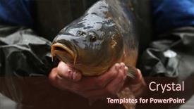  Presentation with prague - 