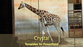  Presentation with zoo - 