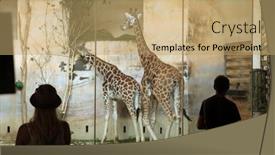  Presentation with zoo - 
