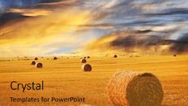 Presentation with hay field - Slides consisting of prairie - golden sunset over farm field background and a gold colored foreground
