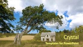  Presentation with architecture old - Audience pleasing presentation consisting of prairie architecture - derelict house and old tree backdrop and a tawny brown colored foreground