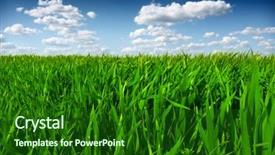  Presentation with rural india paddy field green - Amazing slide deck having prairie background - green wheat field backdrop and a forest green colored foreground