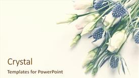  Presentation with gentian - Cool new slide set with prairie gentian and sea holly backdrop and a cream colored foreground