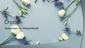  Presentation with holly - Cool new PPT theme with prairie gentian flowers and amethyst backdrop and a light blue colored foreground