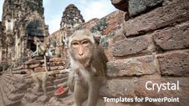  Presentation with thai temple - Cool new PPT layouts with prang sam yot temple backdrop and a violet colored foreground