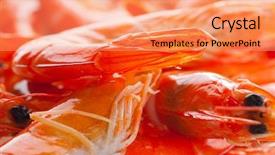  Presentation with prawn - Slides featuring prawn background and a coral colored foreground