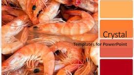  Presentation with capsules green colour - Amazing slides having prawns in a colour palette backdrop and a coral colored foreground