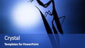 Presentation with cactus - Amazing slide deck having praying mantis sitting on a cactus plant backdrop and a cobalt blue colored foreground