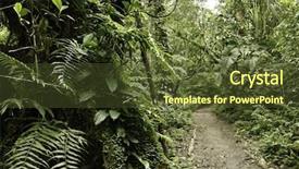  Presentation with amazon jungle - Theme with pre mountain tropical rain forest background and a tawny brown colored foreground
