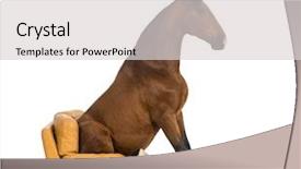  Presentation with jesus on a horse - Colorful theme enhanced with pre spanish - andalusian horse sitting backdrop and a light gray colored foreground